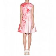 Balza Rose printed dress